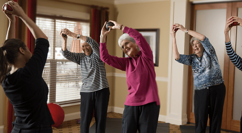 Brightview exercise programs
