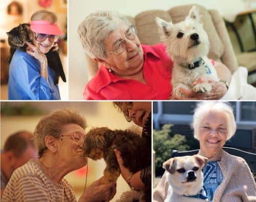 Bickford Senior Living is Pet-Friendly