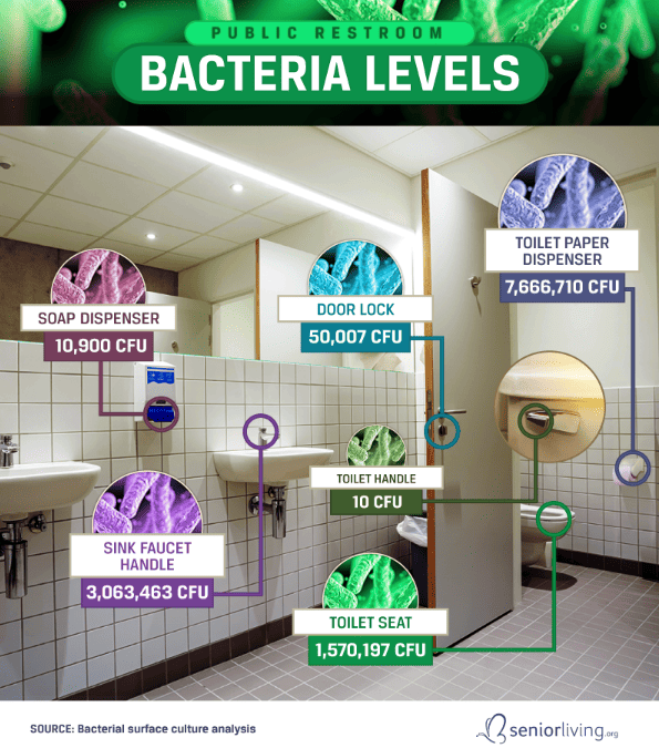 Public Restroom Bacteria Levels