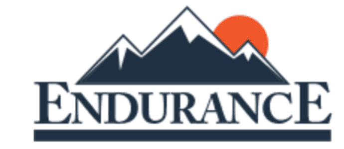 Endurance logo