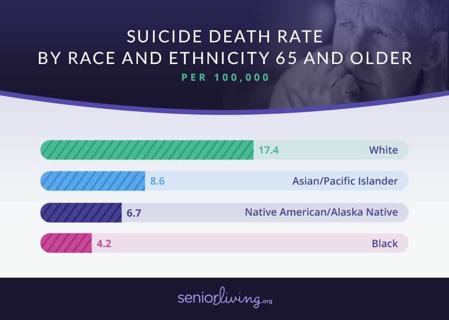 suicide death rate by race and ethinicity 65 and older