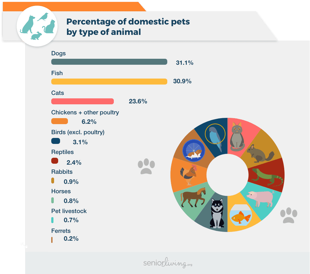 Percentage of domestic pets by type of animal