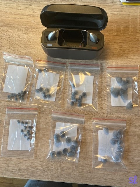 My Jabra Enhance Select 300 came with a wide variety of domes.