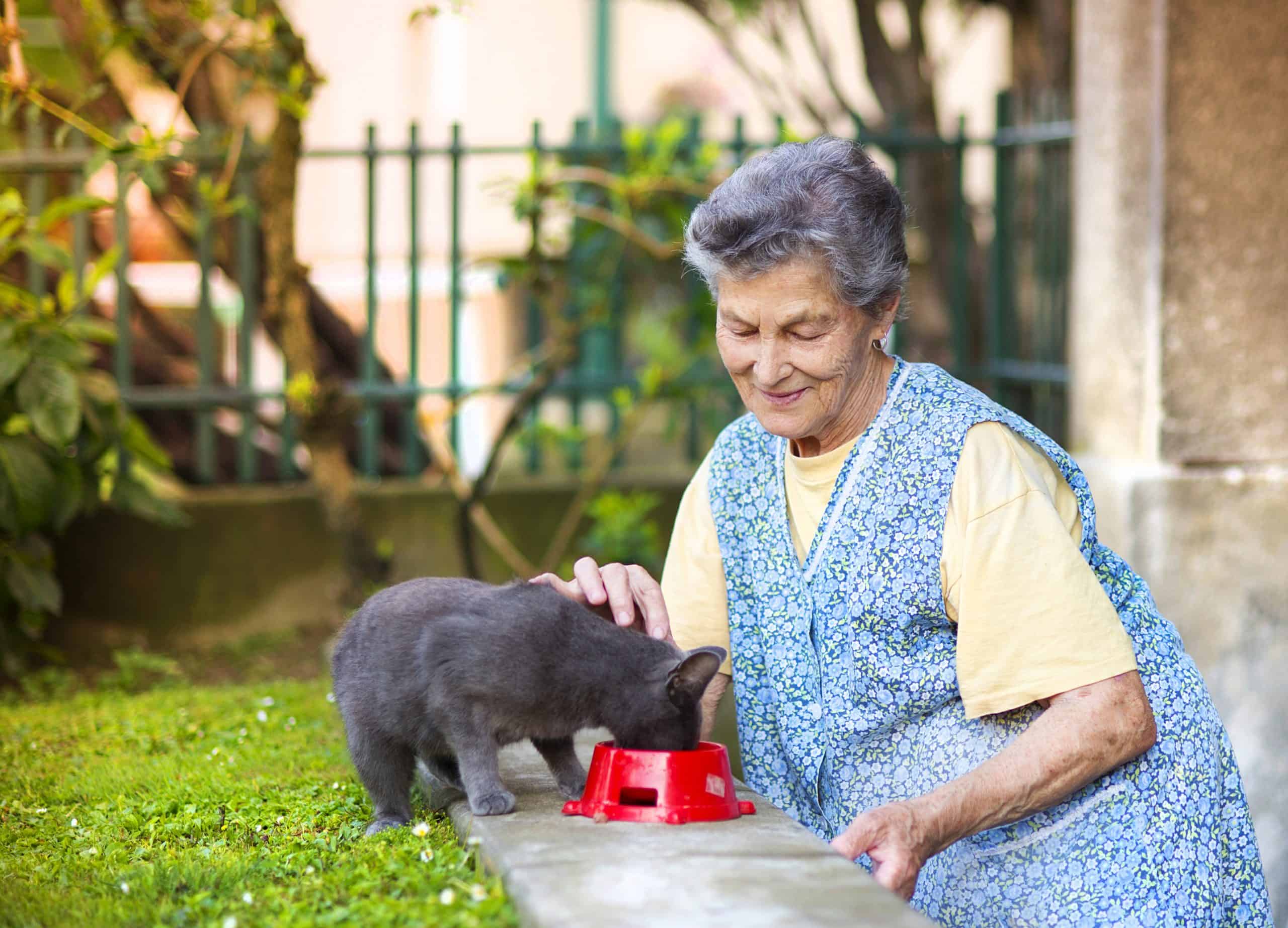 Pets encourage stability and routine