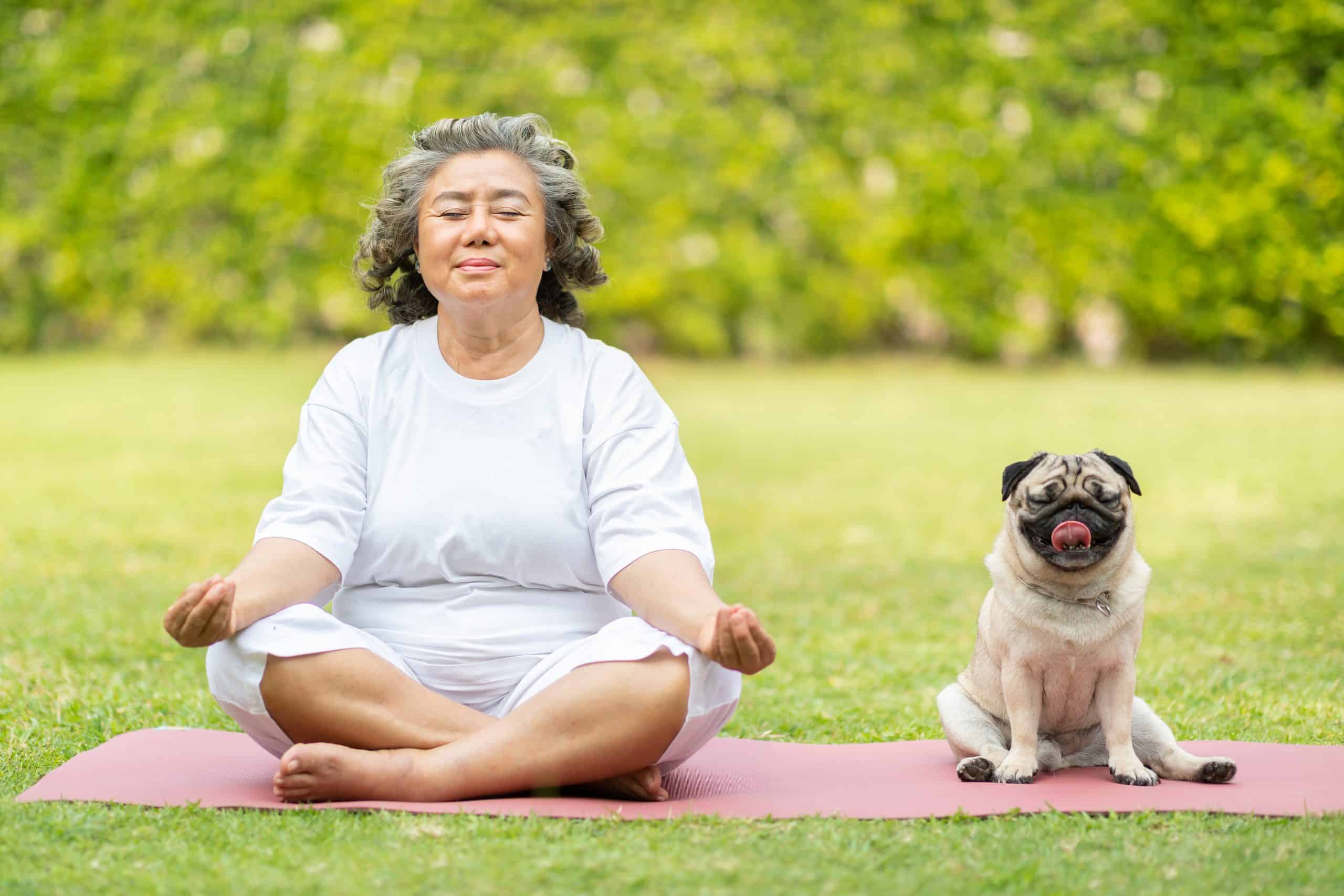 Pets can relieve anxiety