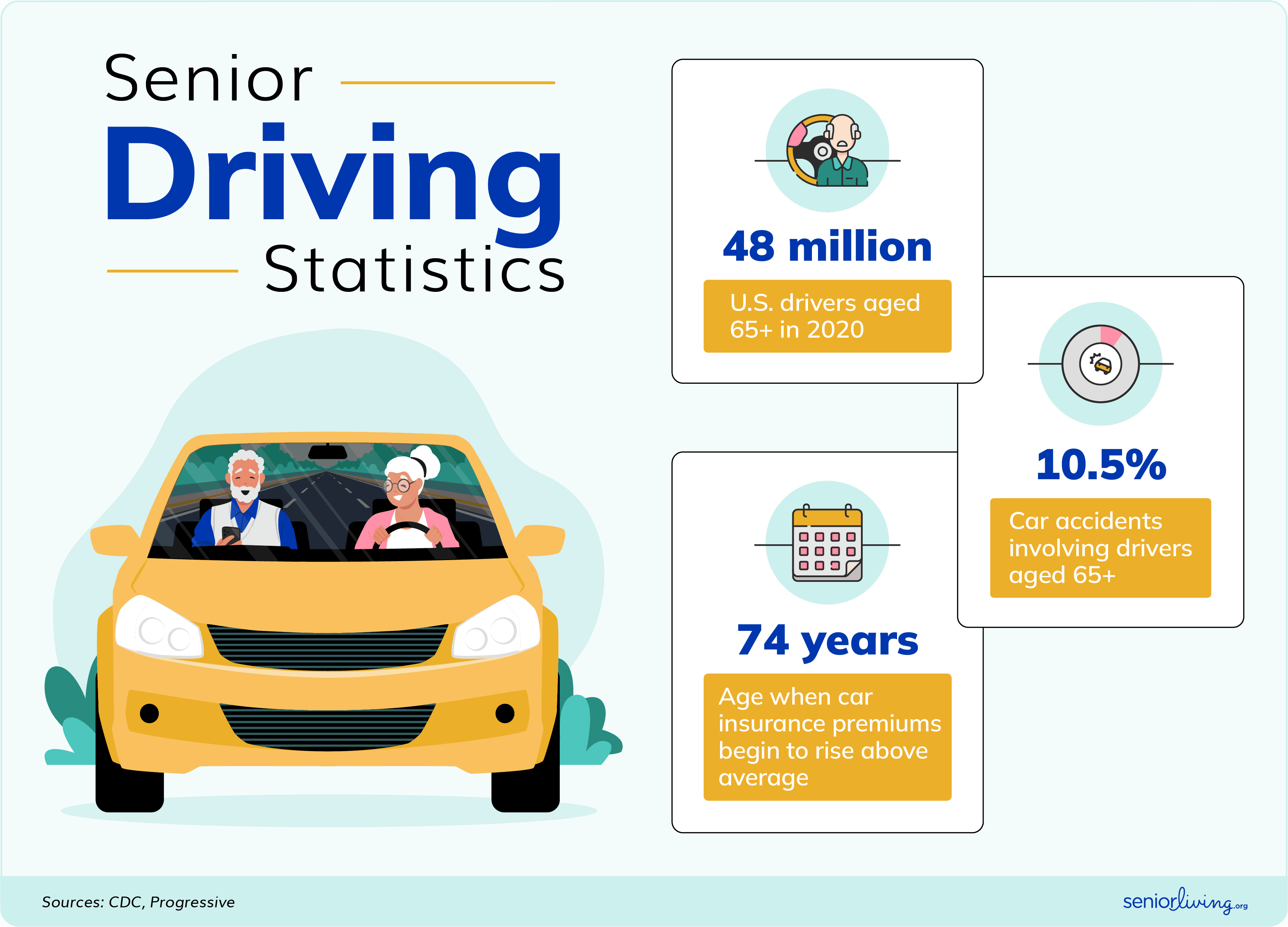 Senior Driving Statistics Infographic