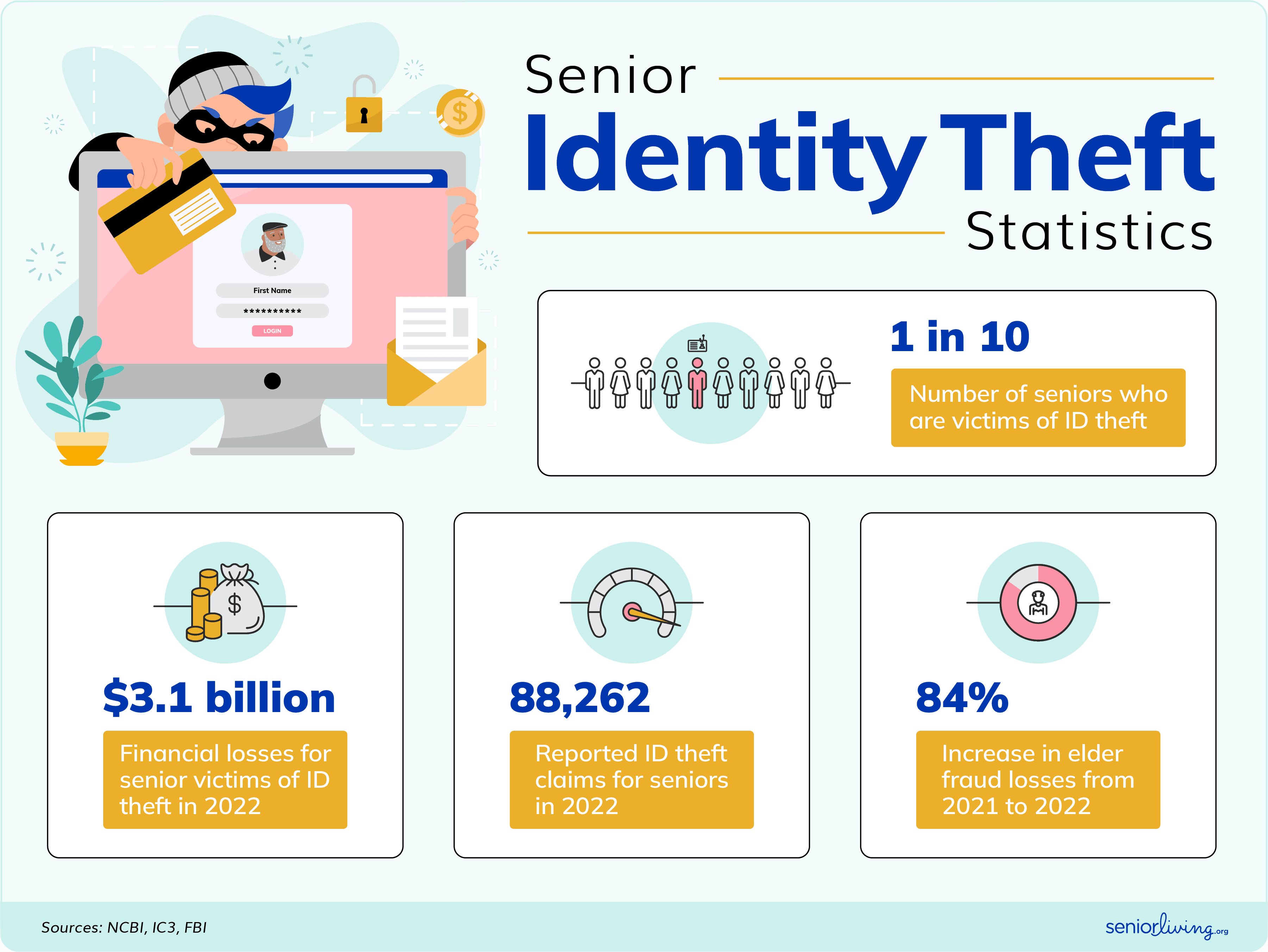 Senior Identity Theft Statistics