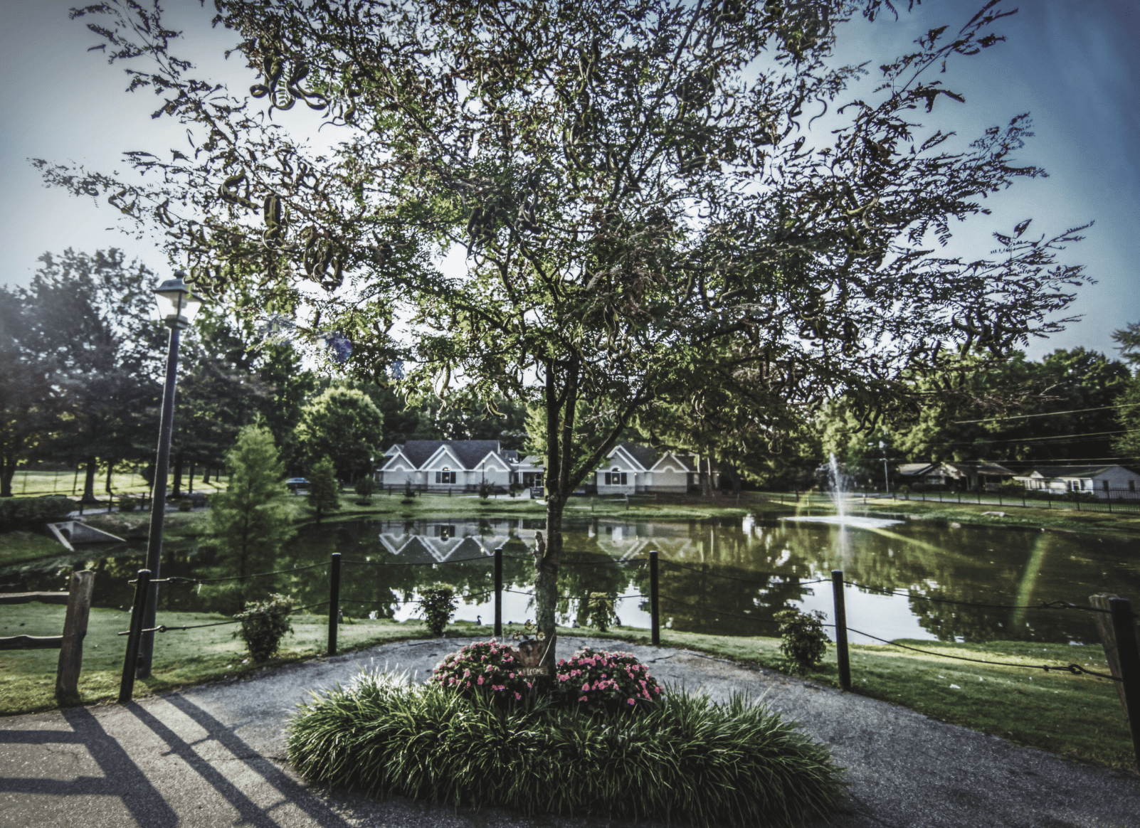 A view of the pond and one of the cottages at Foxbridge Senior Living.